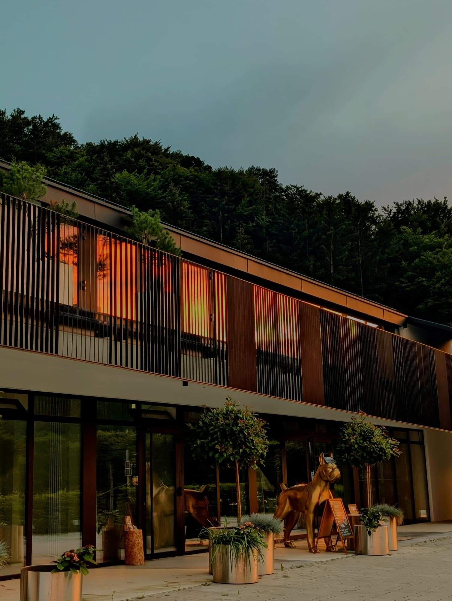 Wald & Wiese bei Abendlicht — Holzfassade, beleuchtete Fenster, Eingang
