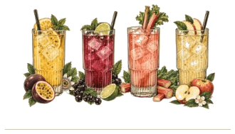 Vier Gläser Schorle mit Eis, Früchten und Kräutern